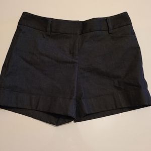 Express Navy Blue Shorts